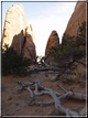 foto Arches Park